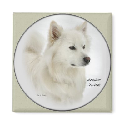 American Eskimo Dog Gifts Art Fridge Magnets by DogsByDezign