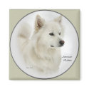 American Eskimo Dog Gifts Art magnets by DogsByDezign American Eskimo Dog Gifts Art magnets