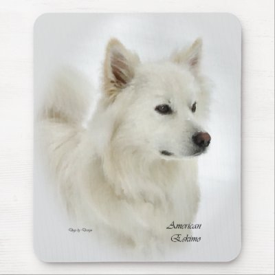 Japanese Eskimo Dog