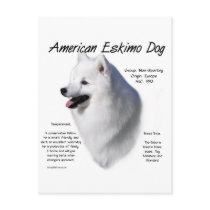 American Eskimo Dog History Design Postcard