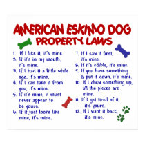 AMERICAN ESKIMO DOG PL2 posters