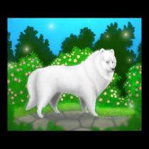 American Eskimo Dog Poster posters