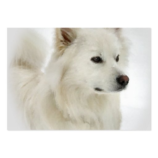 American Eskimo Dog Profile Cards Business Card Templates (back side)