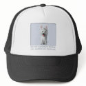 American Eskimo Favorite hats