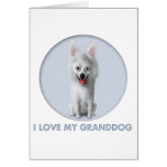 American Eskimo Granddog Card