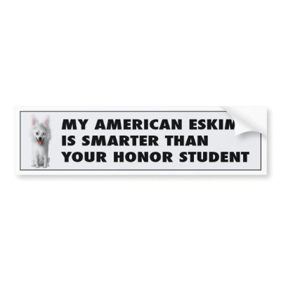 American Eskimo Honor Student Bumper Sticker by cartoondogs