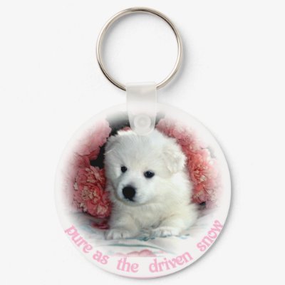 American Eskimo Keychain by knewfy