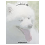 American Eskimo letterhead
