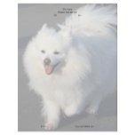 American Eskimo letterhead