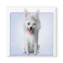 American Eskimo magnets