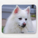 American Eskimo Mousepad by Sunstruck American Eskimo Mousepad