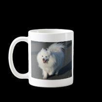 American Eskimo mugs