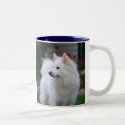 American Eskimo Mug by Sunstruck American Eskimo Mug