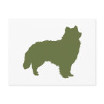 American Eskimo