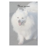 American Eskimo stationary Stationery Paper