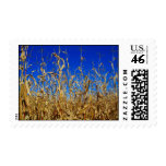 American farm stamps