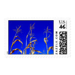 American farm stamps