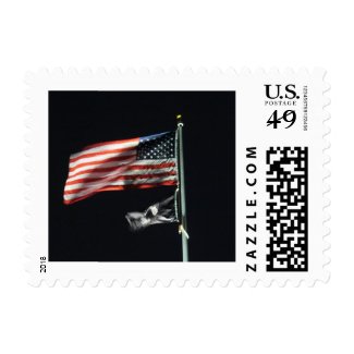 American Flag At Night Postage Stamp