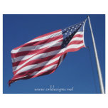 American Flag Custom Flyer