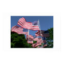 American Flag Display posters