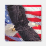 American Flag & Eagle Magnet