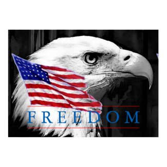 American Flag Freedom Eagle Eye Poster