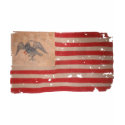 American Flag of the Fremont Expedition t-shirts