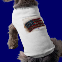 AMERICAN FLAG pet clothing