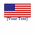 American Flag Polo Shirt