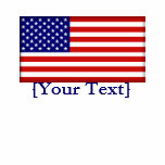 American Flag Polo Shirt