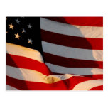 American Flag Postcard