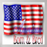 American Flag Poster