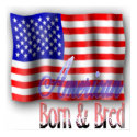 American Flag Poster posters