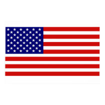 American Flag Poster posters