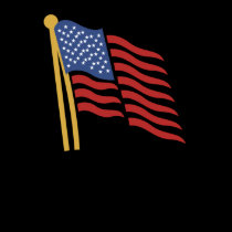 American  Flag t-shirt