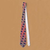 American Flag Tie