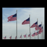 American Flags at the Washington Monument Print