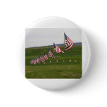 American flags pins