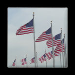 American Flags Magnet