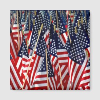 American Flags Magnet magnet