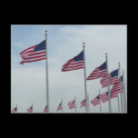 American Flags Photo Postcard