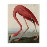 American Flamingo Custom Flyer