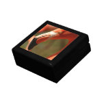 American Flamingo Gift Box 