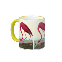 American Flamingo, John James Audubon Mug