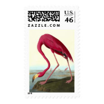 American Flamingo, John James Audubon Stamp