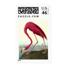 American Flamingo, John James Audubon Stamp