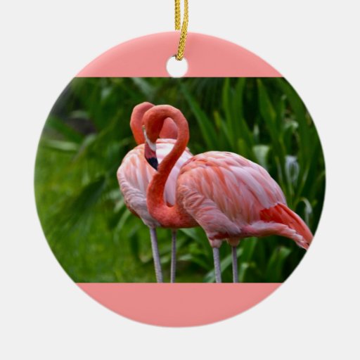 American Flamingo Ornament