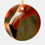 American Flamingo Ornament