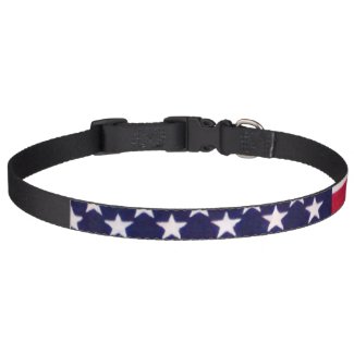 American flog dog collar