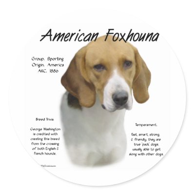 foxhound